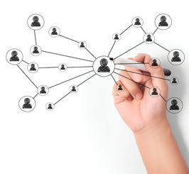 車(chē)管所7月1日起駕照新政 沒(méi)考駕照的人有福了！